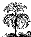 Verdementa